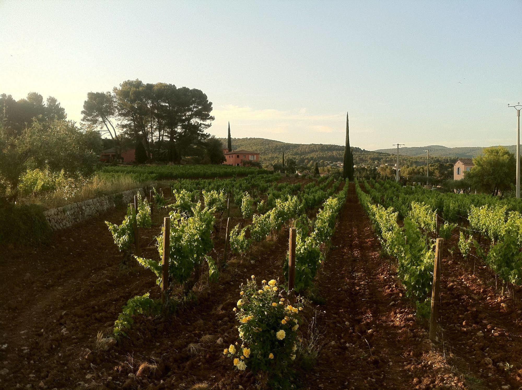 Domaine Rabiega Hotel Flayosc Exterior photo
